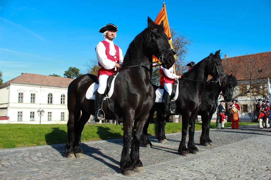 Hotel Medieval อัลบายูเลีย ภายนอก รูปภาพ